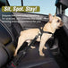 2 - In - 1 Multi - Functional Dog Car Seatbelt - All - Gadgetry